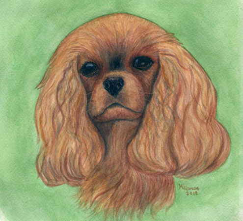 Mary Hanus Pencil Art 