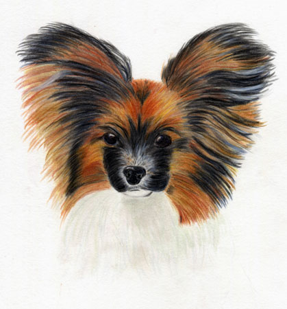 Mary Hanus Pencil Art 
