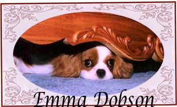 Winterhaven Cavalier King Charles Spaniel from breeder Mary Hanus