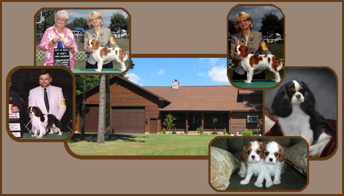 Whinterhaven Cavaliers
